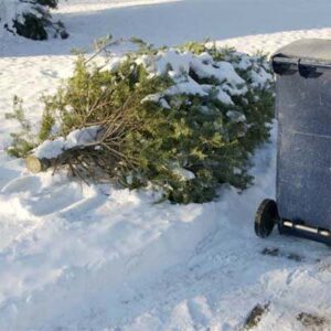 00-christmas-tree-uses Christmas Tree Upcycling