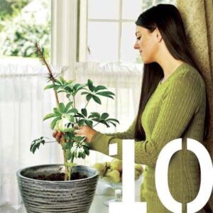 10-christmas-tree-uses Christmas Tree Upcycling