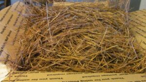 Pine Needle Mulch Christmas Tree Upcycling