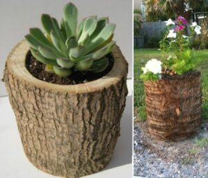 Tree-Trunk-Planter Christmas Tree Upcycling