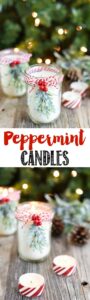 DIY-Peppermint-Candles Christmas crafts around the web
